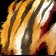 Item-Img