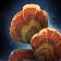 Item-Img